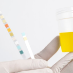 Fake Pee Duration: How Long Does It Stay Effective for Drug Tests?